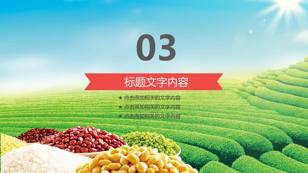 粮食五谷杂粮食品健康营养讲座PPT模板