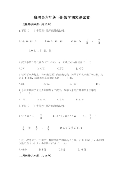 班玛县六年级下册数学期末测试卷完整.docx