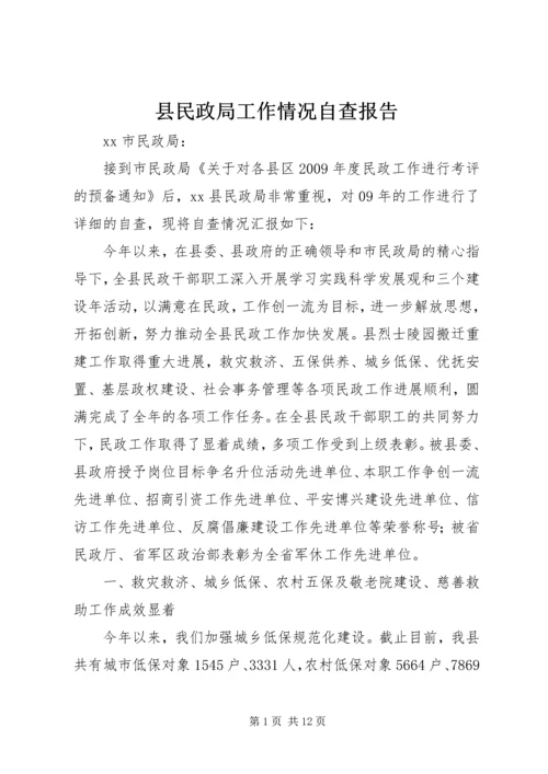 县民政局工作情况自查报告.docx