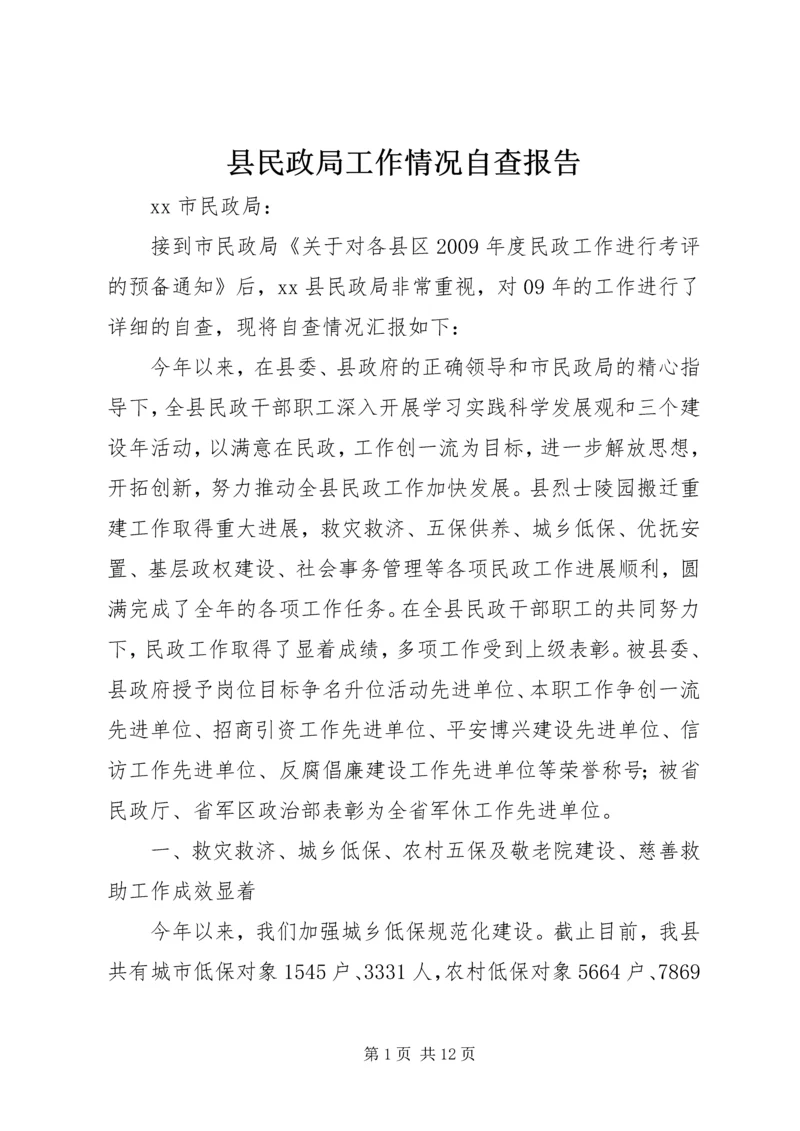 县民政局工作情况自查报告.docx