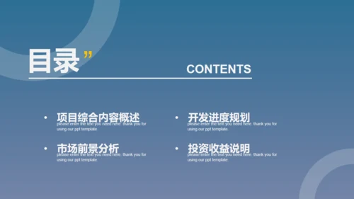 商业项目计划书模板通用PPT