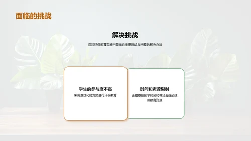 环保教育的实践与挑战