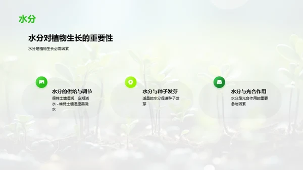 解密植物生长秘境