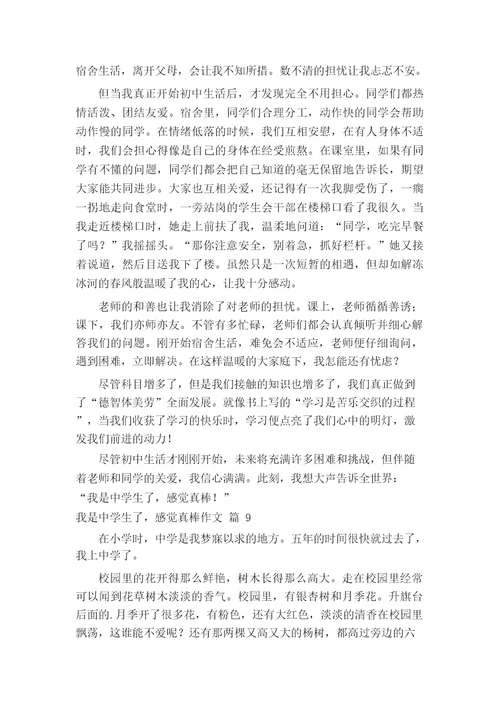 我是中学生了,感觉真棒作文