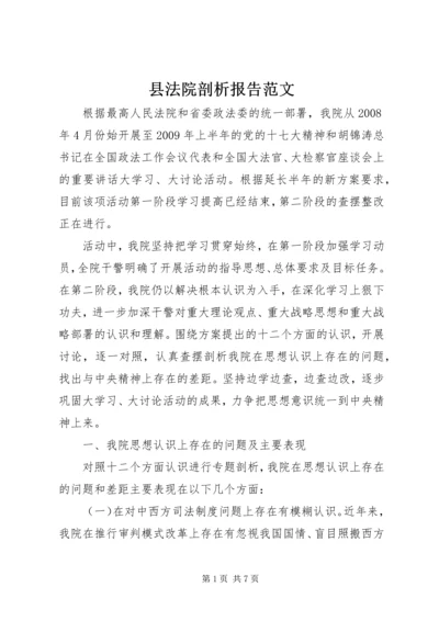 县法院剖析报告范文 (3).docx