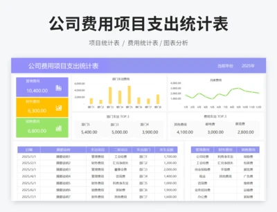 公司费用项目支出统计表