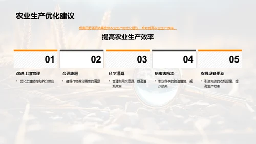 田野调研与农业优化