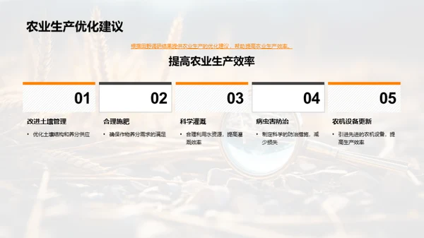田野调研与农业优化