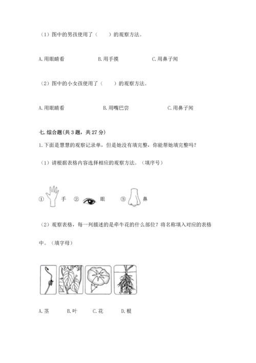 教科版科学一年级上册第一单元《植物》测试卷附答案（b卷）.docx