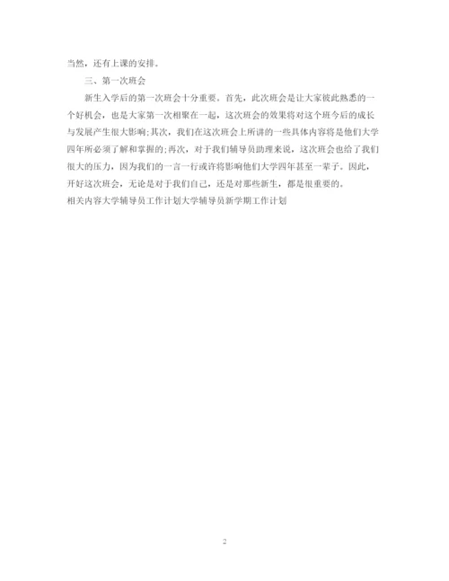精编之大学辅导员助理工作计划范文.docx