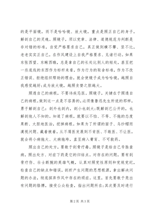 照镜子正衣冠心得体会.docx