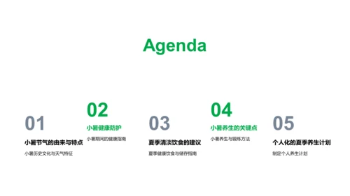 小暑养生指南讲座PPT模板