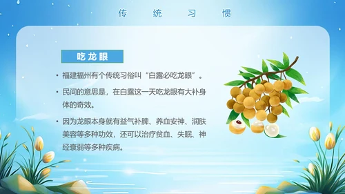 美丽的梦幻传统节气白露PPT模板
