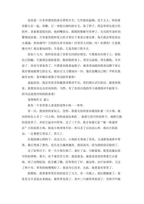 有关宠物狗作文锦集七篇.docx