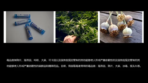 国际禁毒日珍爱生命远离罪恶通用PPT模板