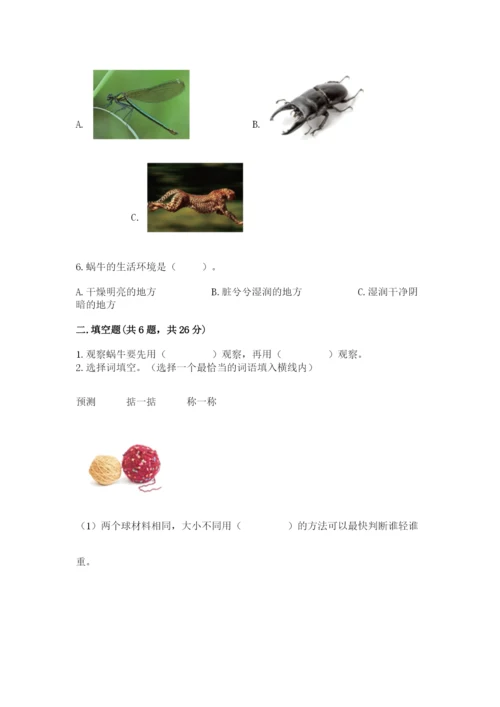 教科版一年级下册科学期末测试卷（a卷）.docx