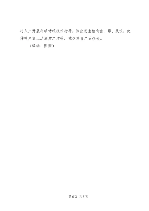 粮食局XX年终工作总结和计划 (3).docx