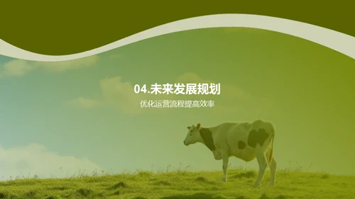 牧业之路