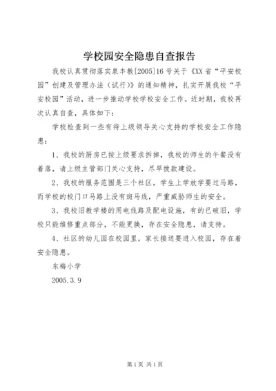 学校园安全隐患自查报告.docx