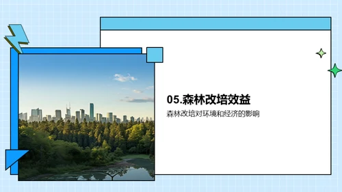 森林改培：挽救绿肺