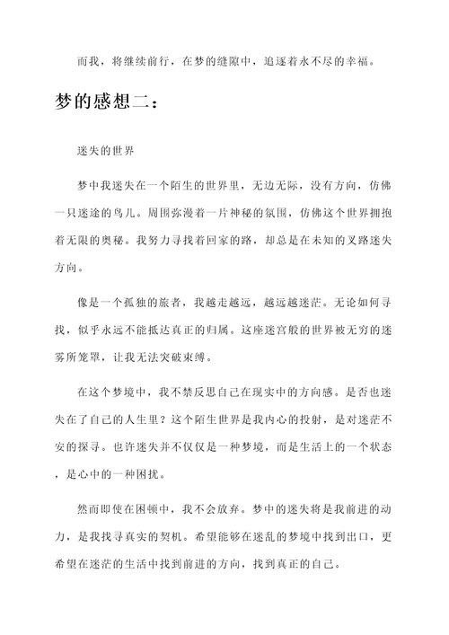 最真的梦的感想