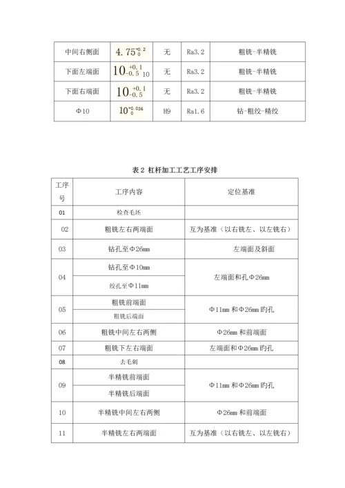 杠杆优质课程设计专项说明书.docx