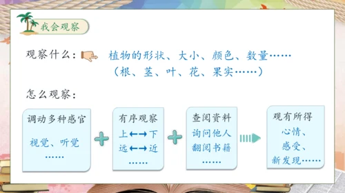 【核心素养】部编版语文三年级下册-习作-我的植物朋友（课件）