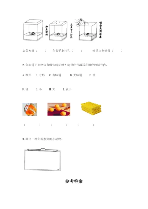 教科版一年级下册科学期末测试卷（培优）.docx
