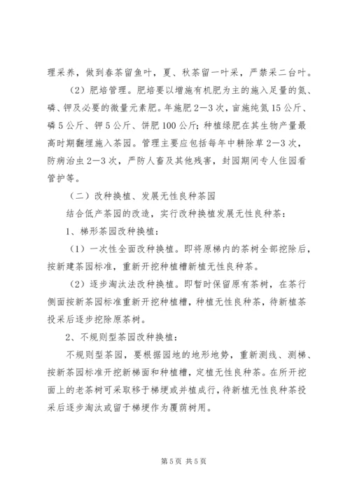 茶园改造实施方案 (2).docx