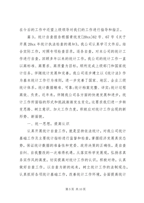 最新统计工作自查报告范文.docx