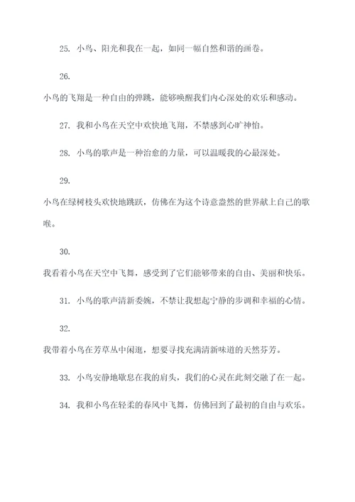 我和小鸟作文好词好句