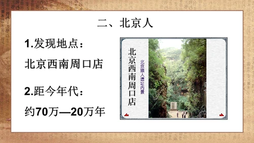 初中历史《人类起源》教学通用PPT课件