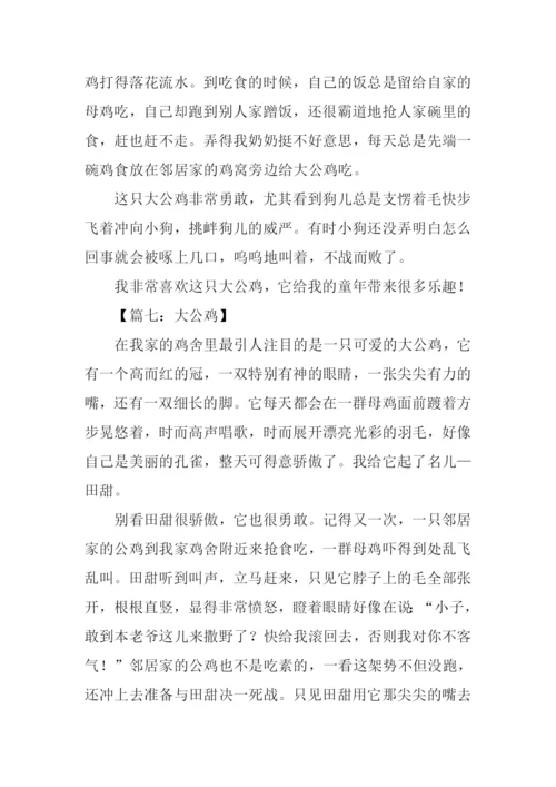 四年级作文大公鸡.docx