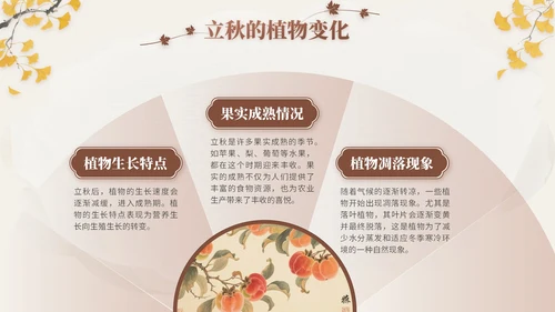 褐色中国风立秋节气文化知识主题班会