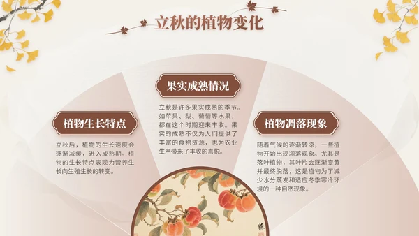褐色中国风立秋节气文化知识主题班会
