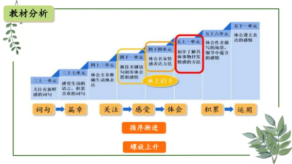 部编版语文五上第一单元 大单元教学设计--与自然对话，记录镜头下的心爱之物 说课课件