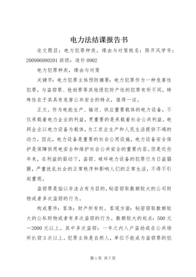 电力法结课报告书.docx