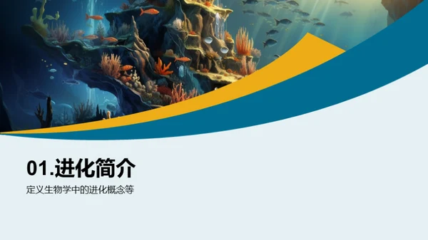 探索生物演化历程