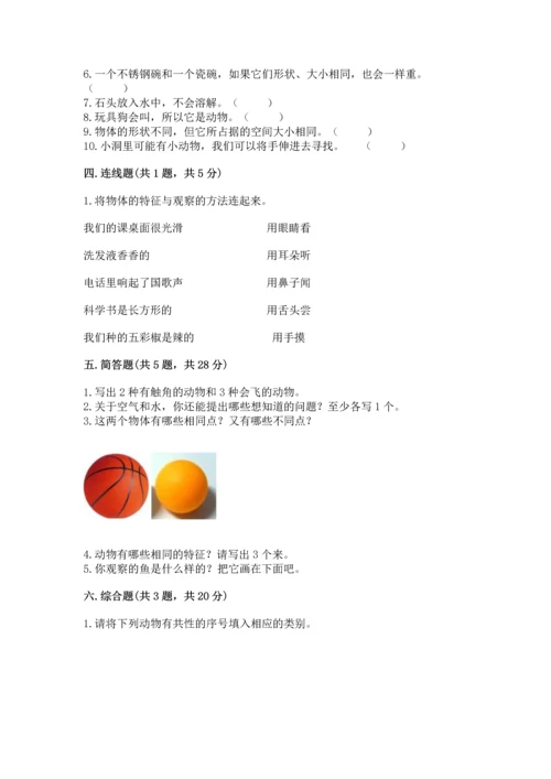 教科版一年级下册科学期末测试卷【历年真题】.docx