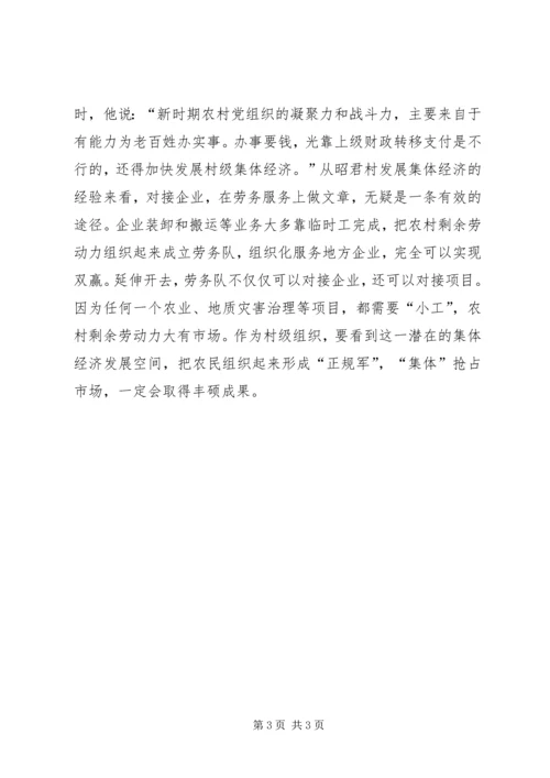 壮大集体经济富民调研报告 (3).docx