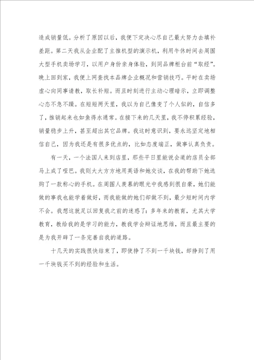 2021年促销员实践汇报