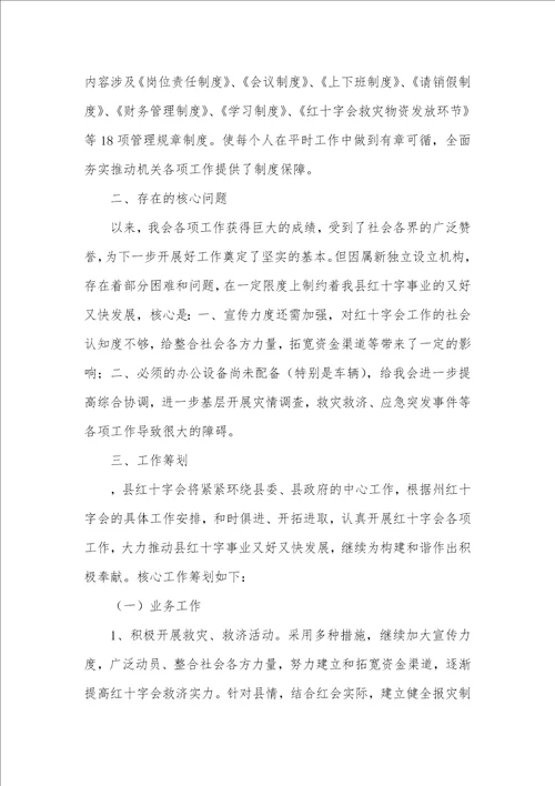 红十字会工作总结及计划