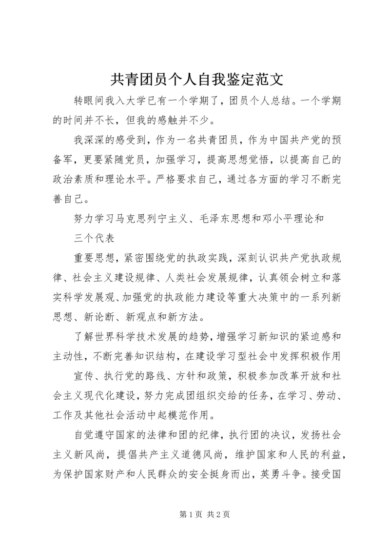 共青团员个人自我鉴定范文 (2).docx