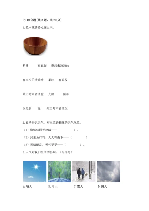 教科版科学二年级上册《期末测试卷》及完整答案（历年真题）.docx