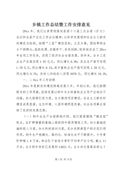 乡镇工作总结暨工作安排意见.docx