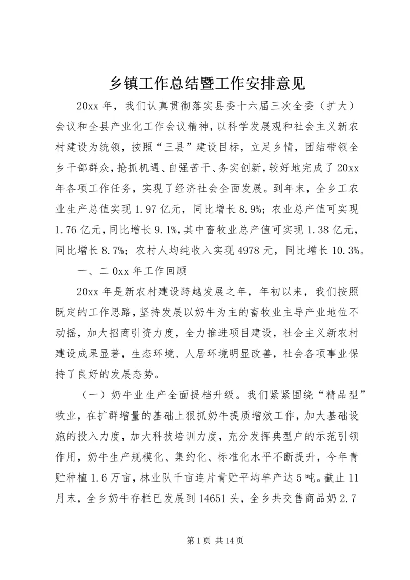 乡镇工作总结暨工作安排意见.docx