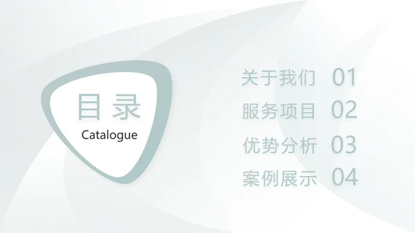 高端品牌介绍策划方案工作总结计划PPT