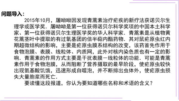 5.3.2 命题、定理、证明 课件(共25张PPT)