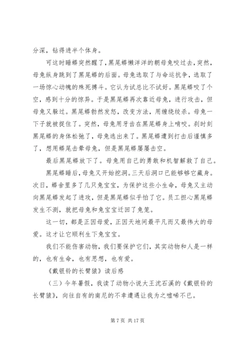 戴银铃的长臂猿读后感五篇.docx
