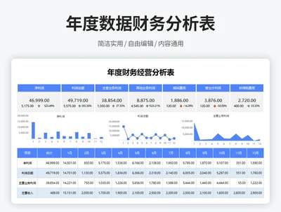 年度数据财务分析表